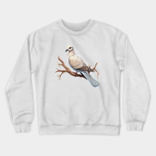 Collared Dove Crewneck Sweatshirt